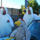 Image for article titled The Faster Farms Chickens Suit Up For Arse Freeze-A-Palooza LeMons Glory